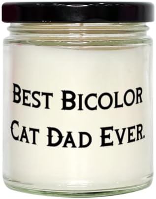 Funny Bicolor Candles for Cat Lovers