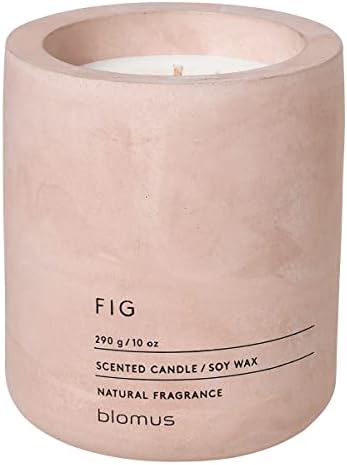 Blomus Fig Scented Jar Candle in Concrete