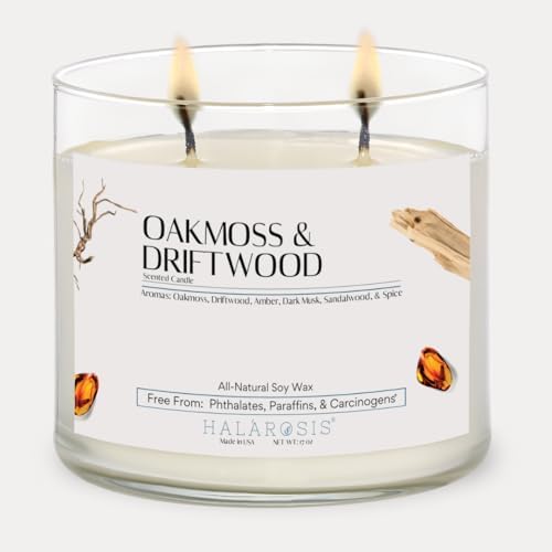 17 oz Oakmoss Driftwood Soy Candle