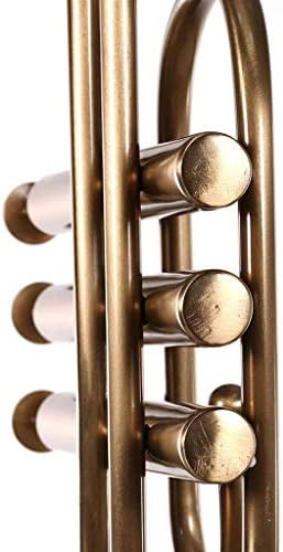 UWEREBFM Musical Instrument Candle Holder - Elegantly Extend Your Space