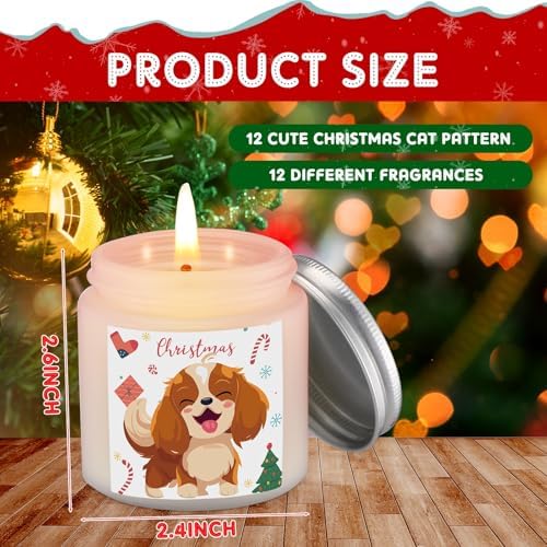 Nuanchu 12 Pcs Scented Jar Candles for Home andbgftpresents