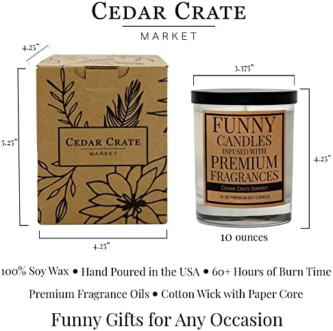 Curious Cat - 100 Soy-Candle for Women 10oz Jar Gift