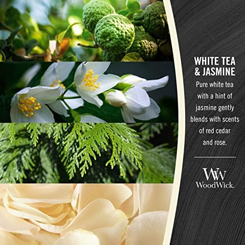 Discover White Tea Jasmine Candle