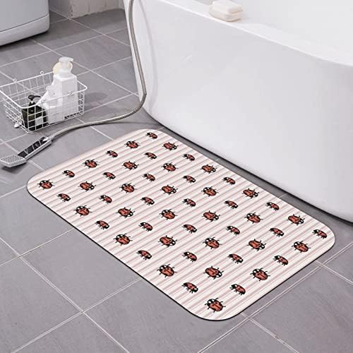 ChenRongDian Welcome Doormat Cute Ladybug with Non-Slip Soft Surface