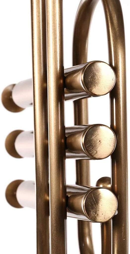UWEREBFM Musical Instrument Candle Holder - Elegantly Extend Your Space