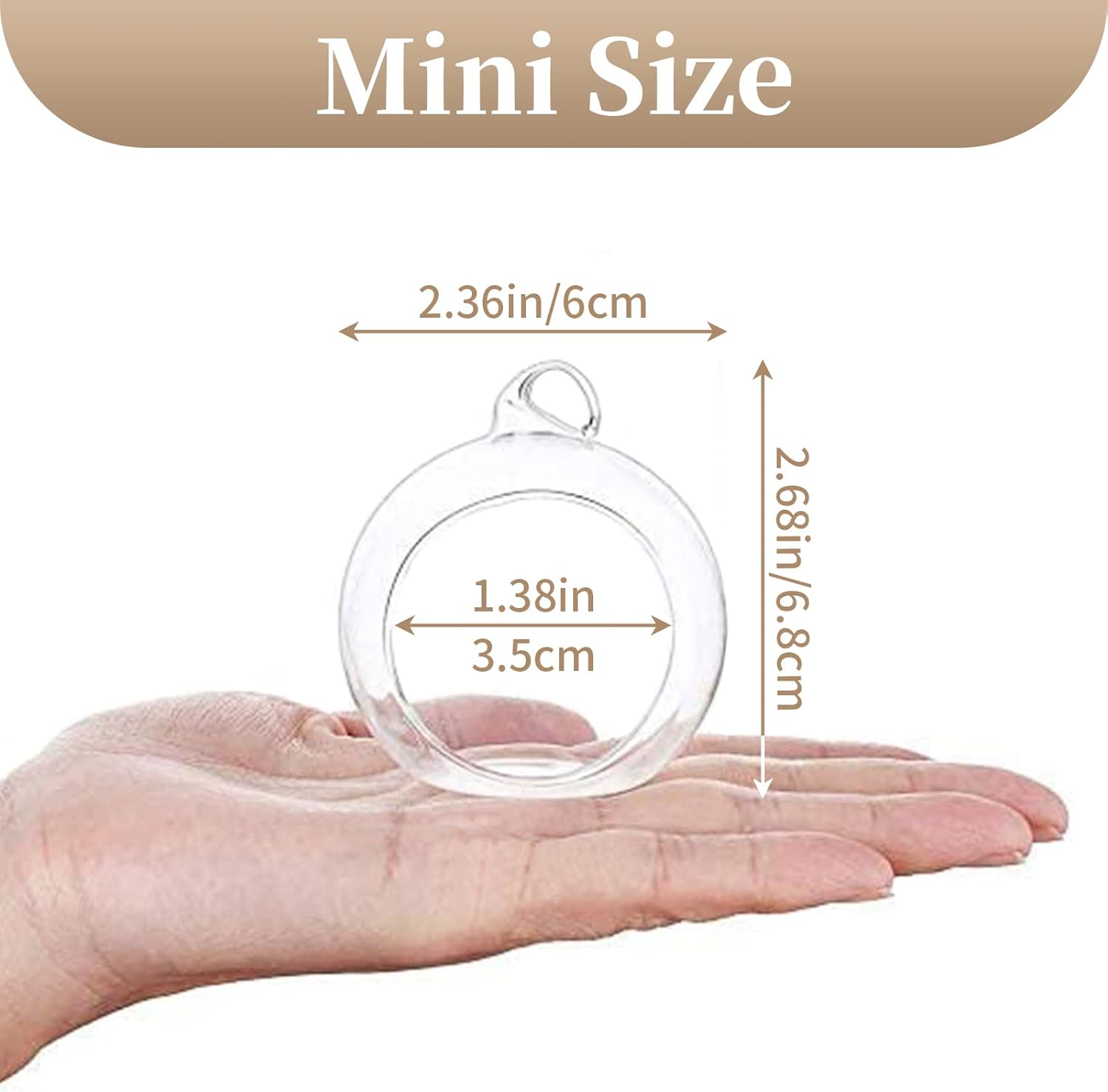 Sziqiqi Elegant Glass Globes