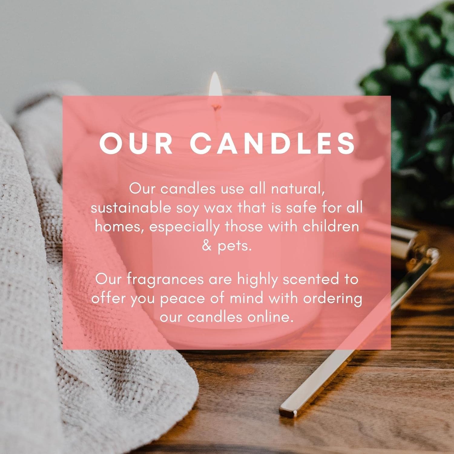 Smells Like Paul Rudd Scented Candle Iced Vanilla Woods Scent