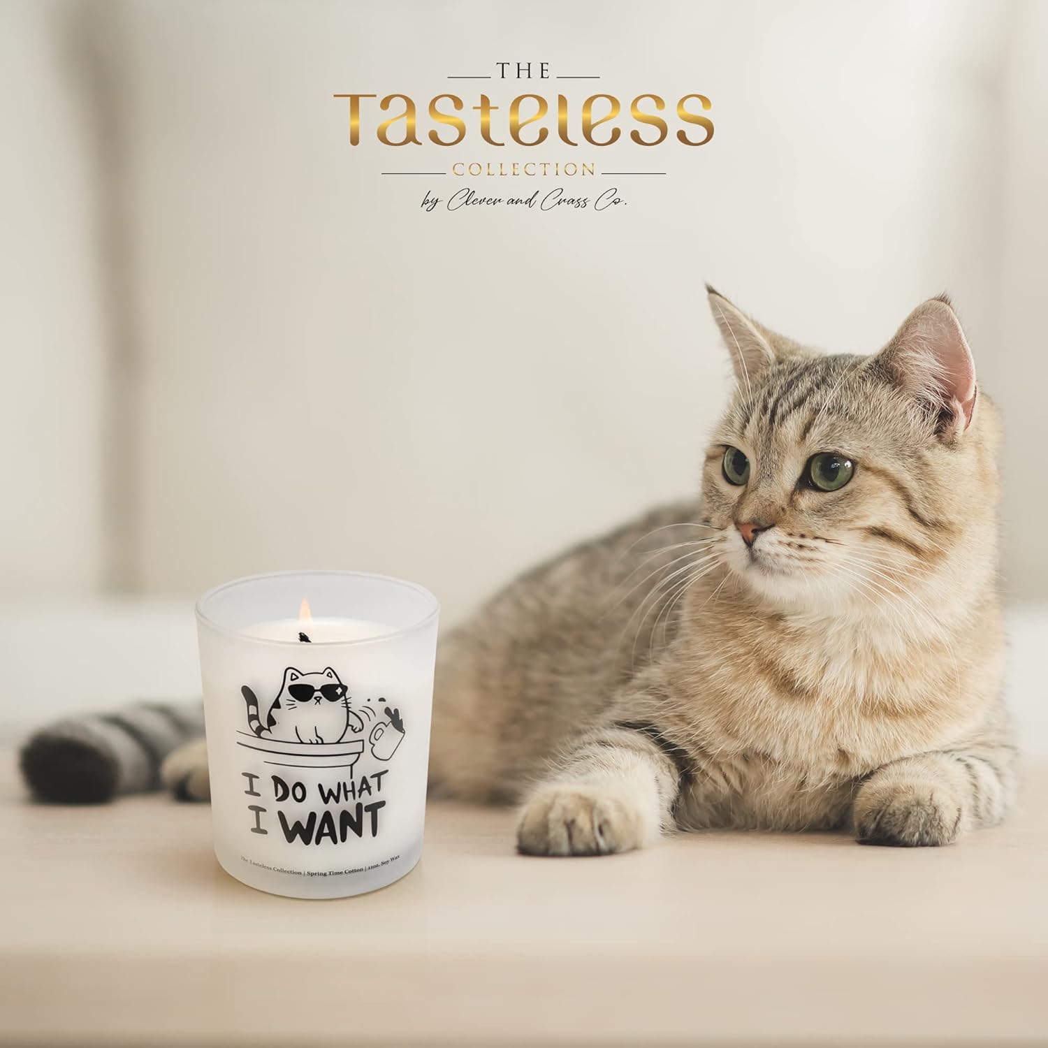 Cat Lovers Delight