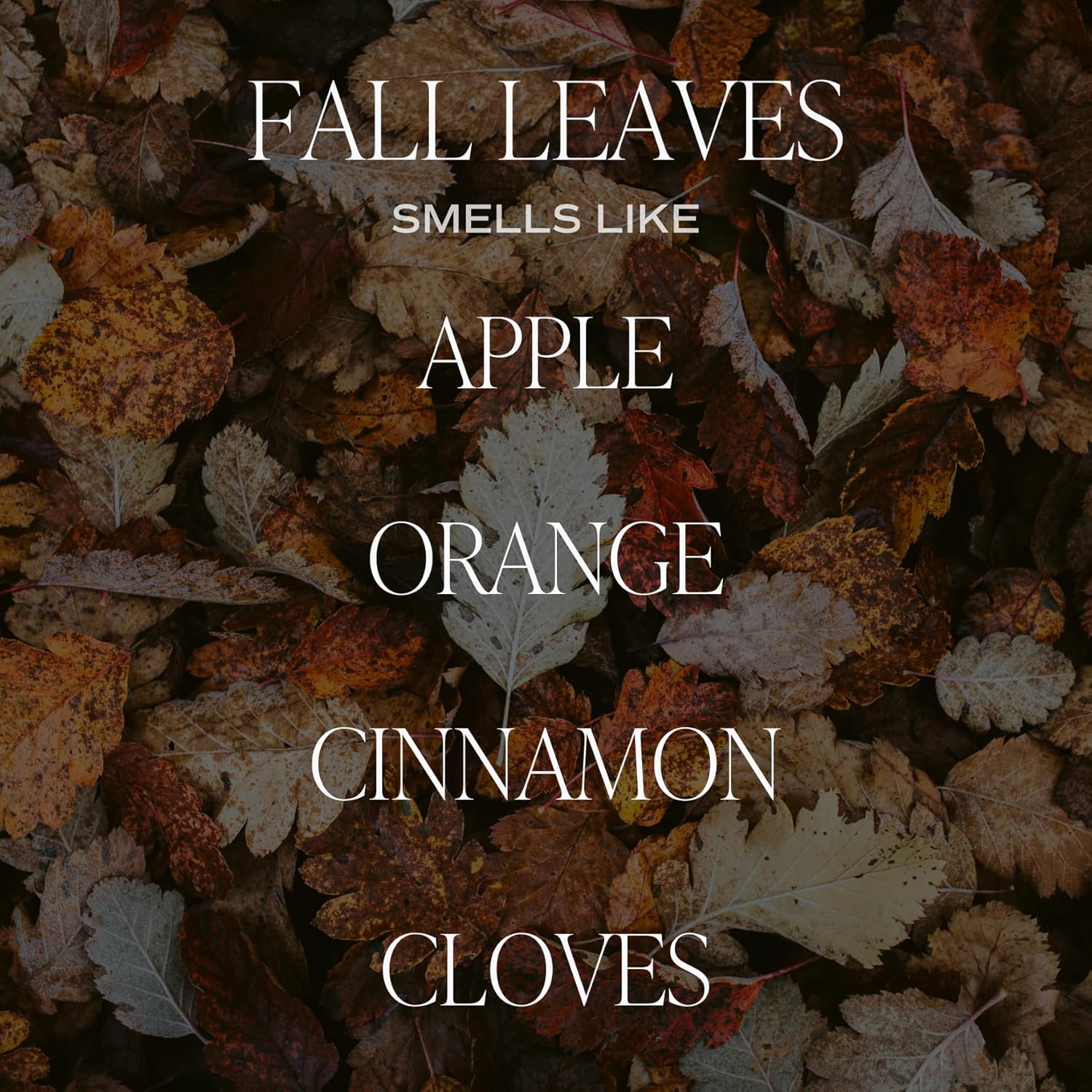Sweet Water Decor Leaves Candle 9oz Jar Fall Scented